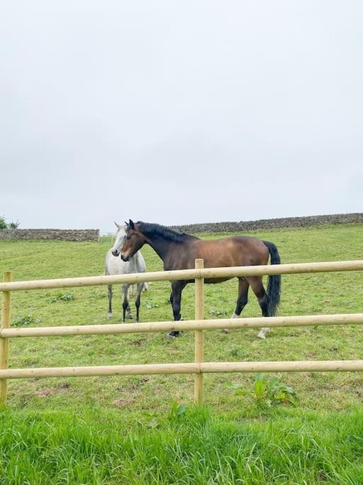 Luxury Detached Peak District Stone Barn - Dog Friendly Villa Hazelwood Exterior photo